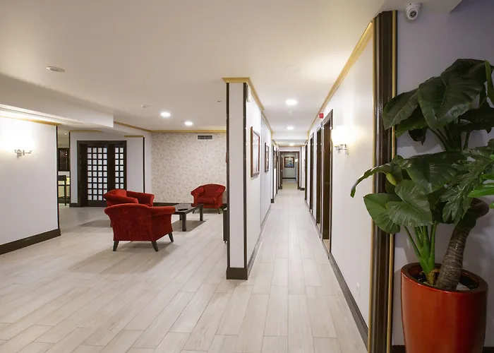 Veneza 3* אבאירו